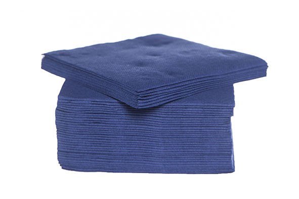 CT PROF SERVIETTE TT S40 25X25CM BLEU NU PAPIER TEXTIEL-TOUCH main product photo