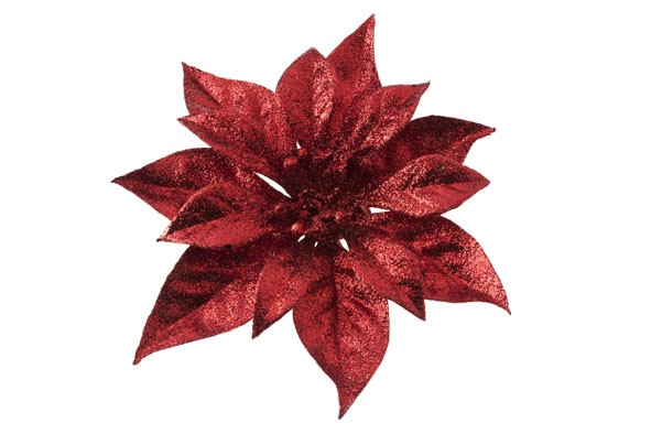 ROSE NOEL S CLIP CERISE SCINTIL D18CM main product photo